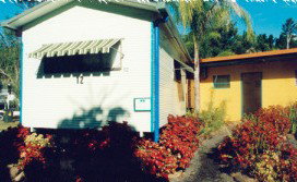 Lismore Palms Caravan Park - Lennox Head Accommodation 2