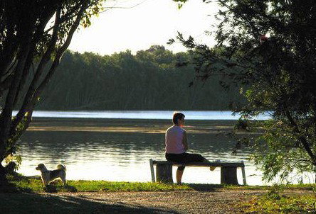 Fishing Haven Caravan Park - Lennox Head Accommodation 2