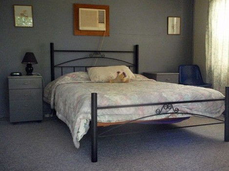 Comeroo Camel Station - Lennox Head Accommodation 0