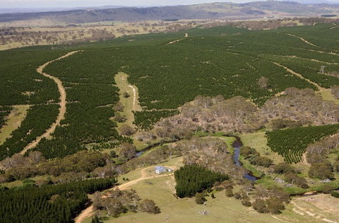 Cochabonddu - Lennox Head Accommodation 2