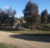 Delegate Caravan Park - Lennox Head Accommodation