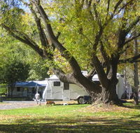 Tumbarumba Creek Caravan Park - Lennox Head Accommodation