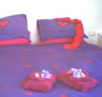 Aloomba Lavender - Accommodation - Lennox Head Accommodation