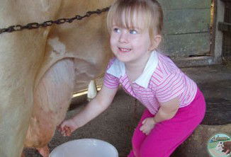 Ashmar Farm Stay - Lennox Head Accommodation 5