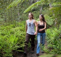 Blackheath Glen Tourist Park - Lennox Head Accommodation