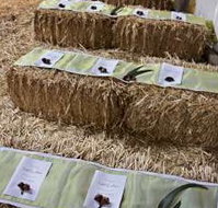 Bathurst Goldfields Accommodation