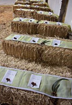 Bathurst Goldfields Accommodation - Lennox Head Accommodation 0