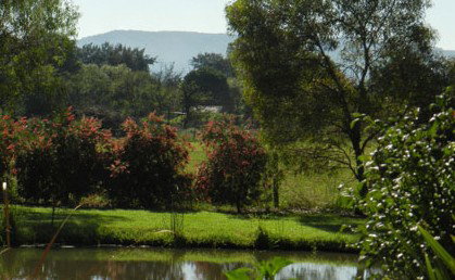 Amazing Country Escapes - Evanslea By The River - Lennox Head Accommodation 4