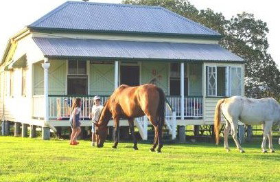 Cedar Glen Farmstay - Lennox Head Accommodation 5