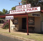 Cobb  Co Caravan Park - Lennox Head Accommodation