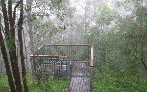 Eagles Rest Retreat - Lennox Head Accommodation 4