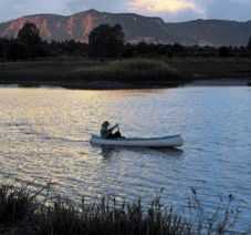 Arcadia Valley Escape - Lennox Head Accommodation 3