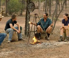 Bonus Downs Farmstay - Lennox Head Accommodation 3