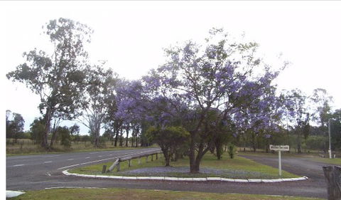 Nanango Caravan And Motorhome Park - Lennox Head Accommodation 4