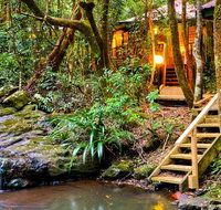 The Mouses House - Rainforest Retreat - Lennox Head Accommodation