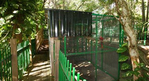 Ashmore Palms Holiday Village - Lennox Head Accommodation 3