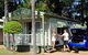 Ashmore Palms Holiday Village - thumb 4