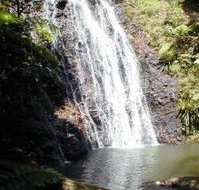 Binna Burra Mountain Lodge - Lennox Head Accommodation