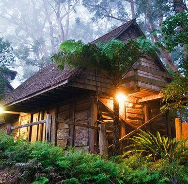 Binna Burra Mountain Lodge - Lennox Head Accommodation 2