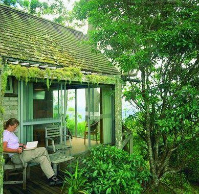 Binna Burra Mountain Lodge - Lennox Head Accommodation 3