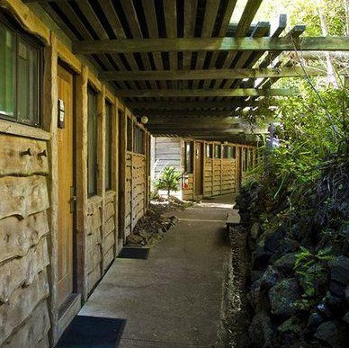 Binna Burra Mountain Lodge - Lennox Head Accommodation 4