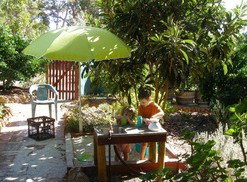 Karri Patch Cottage - Lennox Head Accommodation 3