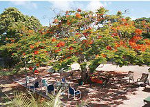 Barnacles Backpackers - Lennox Head Accommodation 1
