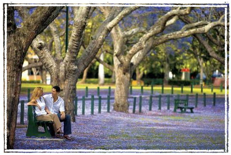 Kirkland House B&B - Lennox Head Accommodation 3