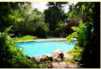 Gumnut Glen Cabins - Lennox Head Accommodation 0