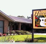 Begonia City Motor Inn - Lennox Head Accommodation