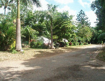 Cape Hillsborough Nature Resort - Lennox Head Accommodation 4