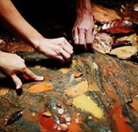 Daintree Eco Lodge And Spa - Lennox Head Accommodation