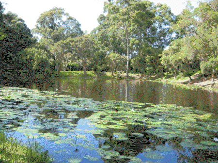 Santa Fe Luxury Bed And Breakfast - Lennox Head Accommodation 3