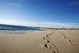 Kalbarri Palm Resort - Lennox Head Accommodation 4