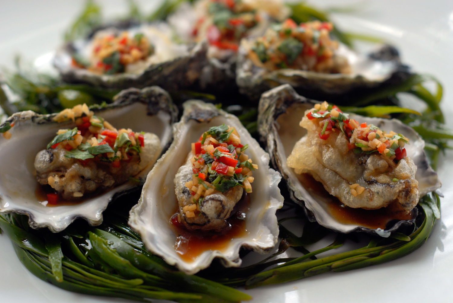 Mollymook NSW Lennox Head Accommodation