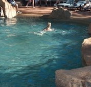 Undara Experience Lava Lodge - Lennox Head Accommodation