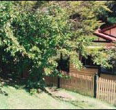 Apple Tree Cottage - Lennox Head Accommodation