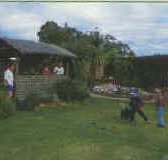 Tambo Lodge - Lennox Head Accommodation