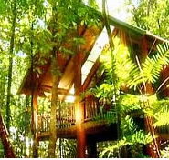 The Canopy Treehouses - Lennox Head Accommodation
