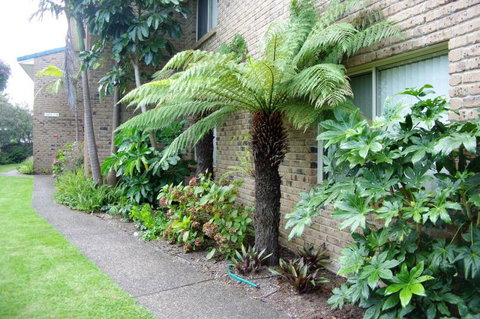 Beachfront Units Merimbula - Lennox Head Accommodation 3