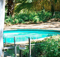 Forest Lodge Apartments - Lennox Head Accommodation