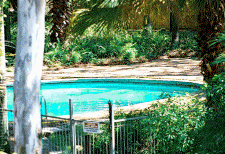 Forest Lodge Apartments - Lennox Head Accommodation 0