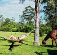 Neds Bed Horse O Tel - Lennox Head Accommodation