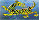 Dragon Phoenix Motel amp Restuarant - Lennox Head Accommodation