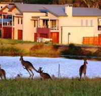 Grand Mercure The Vintage Hunter Valley - Lennox Head Accommodation