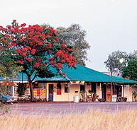 Wauchope Hotel and Roadhouse - Lennox Head Accommodation