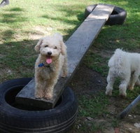 Beenleigh Pet Motel - Lennox Head Accommodation