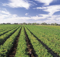 Diplomat Motel amp Restaurant - Lennox Head Accommodation