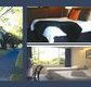 The Albany - Lennox Head Accommodation