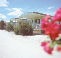 Eldorado Tourist Park - Lennox Head Accommodation